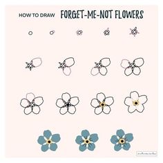 how to draw forget me not flowers