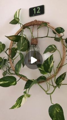 a clock that is hanging on the wall with plants around it and an arrow pointing to 12