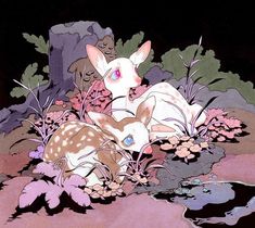 two fawns are laying in the grass by some rocks and flowers at night