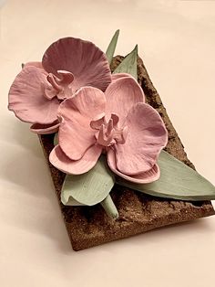 some pink flowers are sitting on a piece of wood