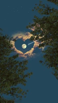 a heart shaped object in the sky with trees around it and clouds behind it at night