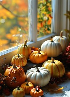 pumpkins and gourds are sitting on the windowsill