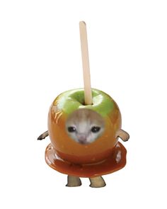 an apple with a stick sticking out of it's center, in front of a white background