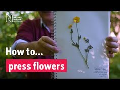 a man holding a notebook with flowers on it and the words how to press flowers