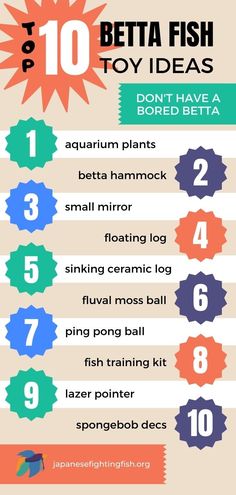 the top ten fish names for beginners to learn how to catch them in an aquarium