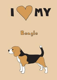 a brown and black dog standing in front of a heart shaped i love my beagle sign