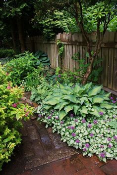 a garden filled with lots of green and purple flowers next to a wooden privacy fence