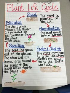 the plant life cycle is shown on a piece of paper with words and pictures attached to it