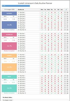 the scaffold johnsson's daily routine planner is shown in this screenshot