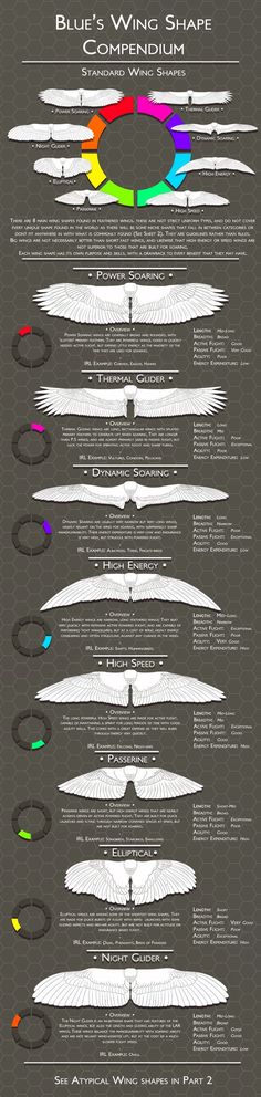 an info sheet showing the different types of aircraft