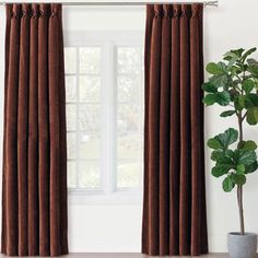 a living room with brown curtains and a potted plant