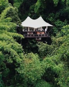 two tents set up in the middle of trees with people sitting on top of them