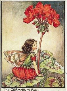 Illustration Kunst, Devian Art, Fairy Illustration, Fairy Pictures, Fantasy Magic, Cicely Mary Barker, Vintage Fairies, Flower Fairies, Beautiful Fairies