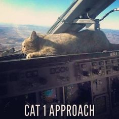 a cat laying on top of an airplane cockpit with the caption, cat 1 approach