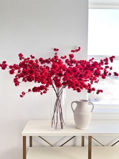 a vase filled with red flowers sitting on top of a table next to a window