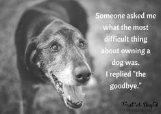 a black and white photo with a dog saying someone asked me what the most difficult thing about owning a dog was i applied the goodbye