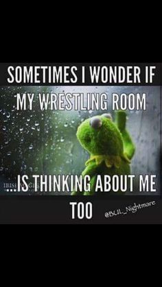 a green stuffed animal with the words sometimes wonder if my wrestling room is thinking about me too