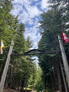 people are walking down a path in the woods with flags on either side of it