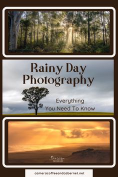 three different pictures with the words rainy day photography on them and an image of a tree in