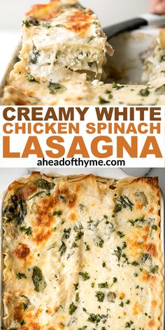 this creamy white chicken spinach lasagna is an easy and delicious side dish