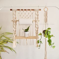 macrame plant hangers with plants in them on a shelf next to a potted plant