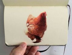 a hand holding an open box with a chicken on it's front and side