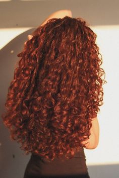 Curly Dark Ginger Hair, Brownish Red Curly Hair, Curly Red Hair Naturally, Deep Red Curly Hair, Curly Hair Auburn, Long Curly Ginger Hair, Red Curly Hair Aesthetic, Curly Red Hair Aesthetic, Dark Ginger Curly Hair