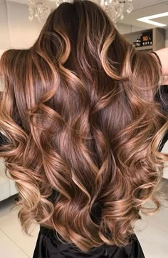 Enchanting Hair Colour Trends To Illuminate 2024 : Woody Browns with Caramel Highlights Light Brown Hair Styles, Brown Hair Styles, Light Brunette Hair, Rambut Brunette, Beige Hair, Korean Hair Color