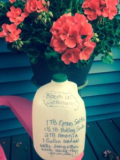 red flowers are in a white vase with writing on it and information about blooming