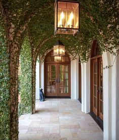 the entrance to an elegant home with vines growing all over it