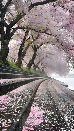 an image of a park setting with cherry blossoms on the trees and steps leading up to the water