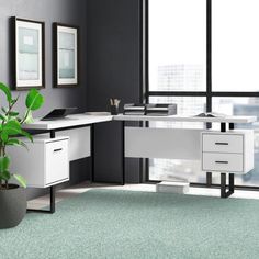 an office desk with a plant in the middle and two framed pictures on the wall