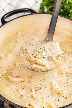 a ladle full of chicken and dumpling soup with parsley on the side