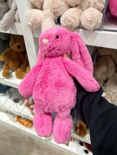 a person holding a pink stuffed animal in front of shelves with teddy bears on them