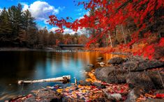 a lake surrounded by rocks and trees with red leaves