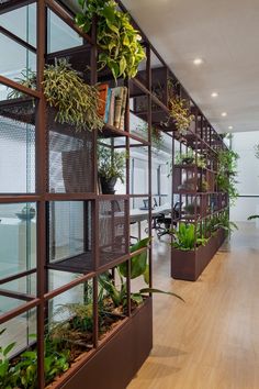 an office filled with lots of plants and potted plants on the side of the wall