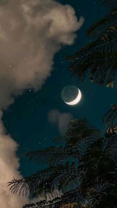 the moon is shining in the night sky above some trees and clouds with leaves on them