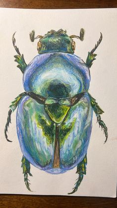 a drawing of a beetle with green and blue colors on it's back legs