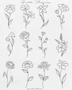 flowers drawn in pencil on paper with the words,'flower drawings'written below them