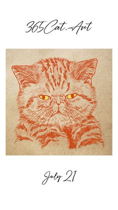 Exotic Shorthair cat drawing　エキゾチックショートヘア猫イラスト Exotic Shorthair Cat, Shorthair Cat, Exotic Shorthair, The Calendar