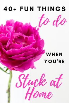 a pink flower with the words 40 fun things to do when you're stuck at home