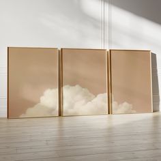 three paintings hanging on the wall in an empty room with wooden floors and white walls