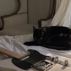 a black cat laying on top of a bed next to an electric guitar