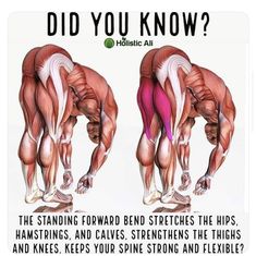 an image of two muscles showing the different ways to do it in order to gain muscle strength