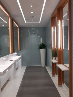 an empty bathroom with two sinks, mirrors and plant in the corner on the wall