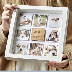 a woman holding up a white frame with pictures of dogs on it and the words buddy written in wood