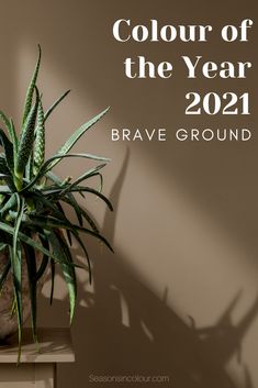 a potted plant sitting on top of a wooden table next to a wall with the words, color of the year 2021