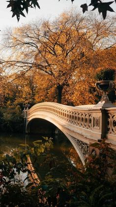 a bridge that is over some water with trees in the background and leaves on the ground