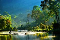 a man standing on a boat in the middle of a lake surrounded by trees and fog