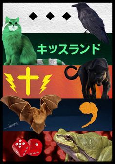 a collage of pictures with animals, cats and other things in japanese writing on them